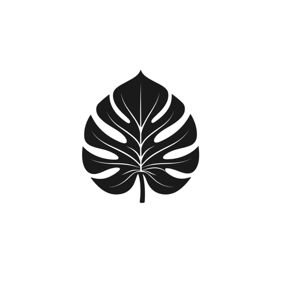 Minimalist Monstera Leaf logogo Icon Set on White Background vector