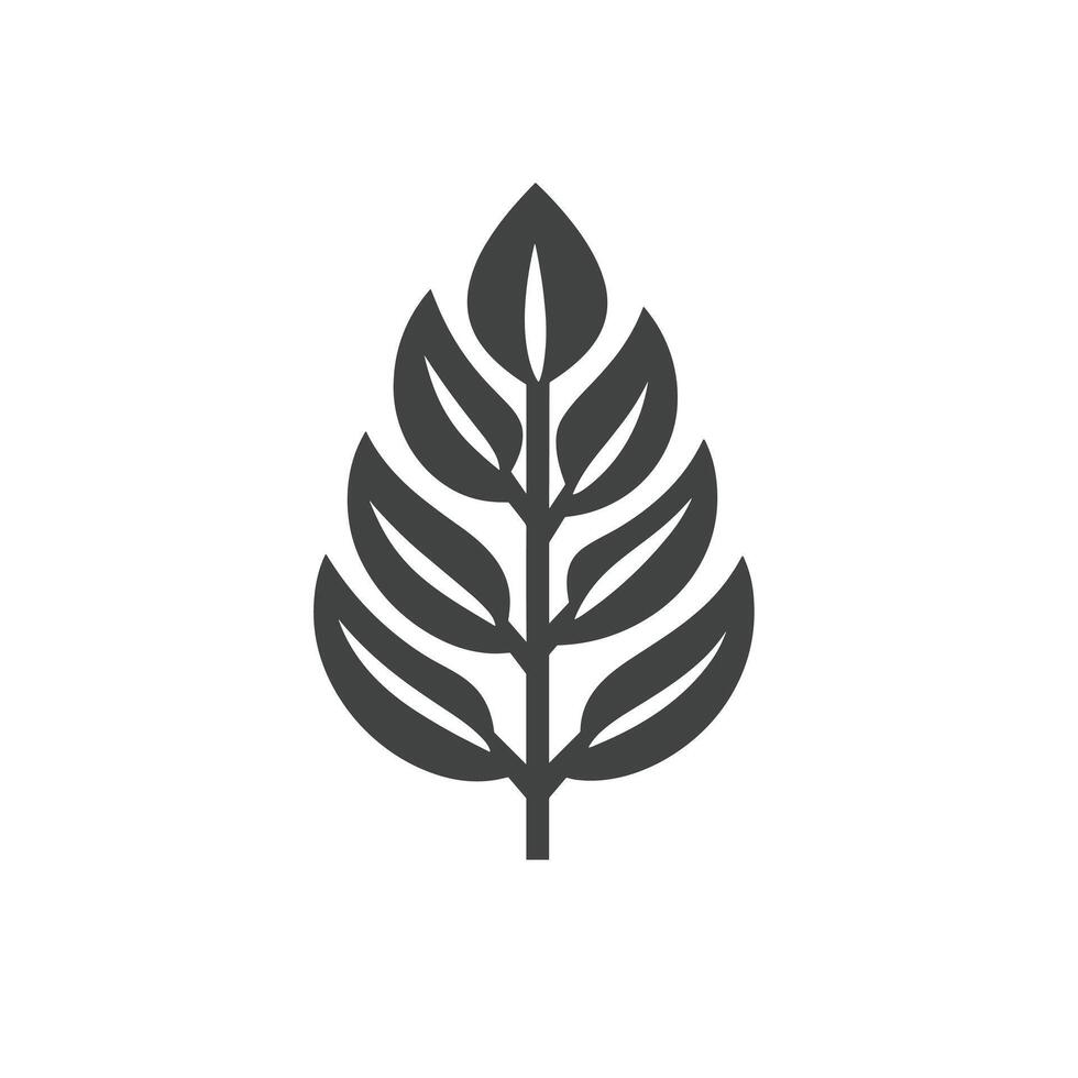 Soft Of Beech Icon Set in HD Quality vector