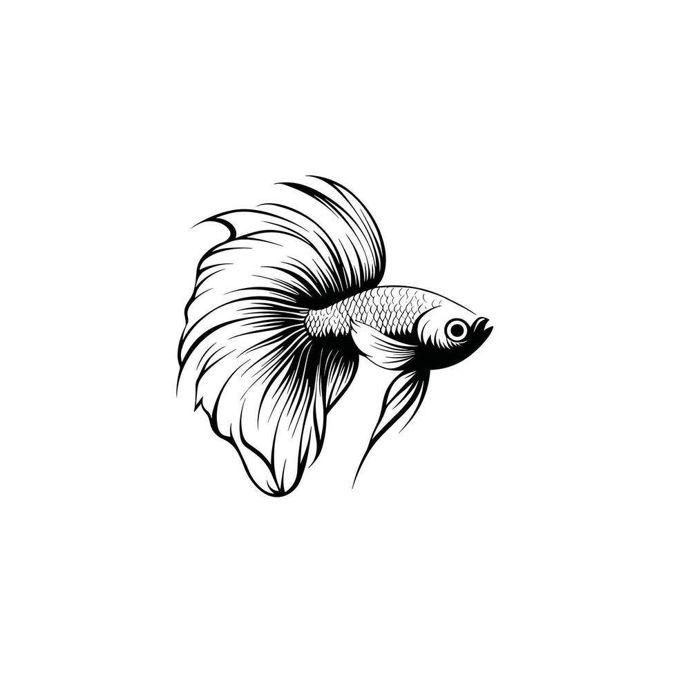 Elegant Of Betta Graphic Template for Branding vector