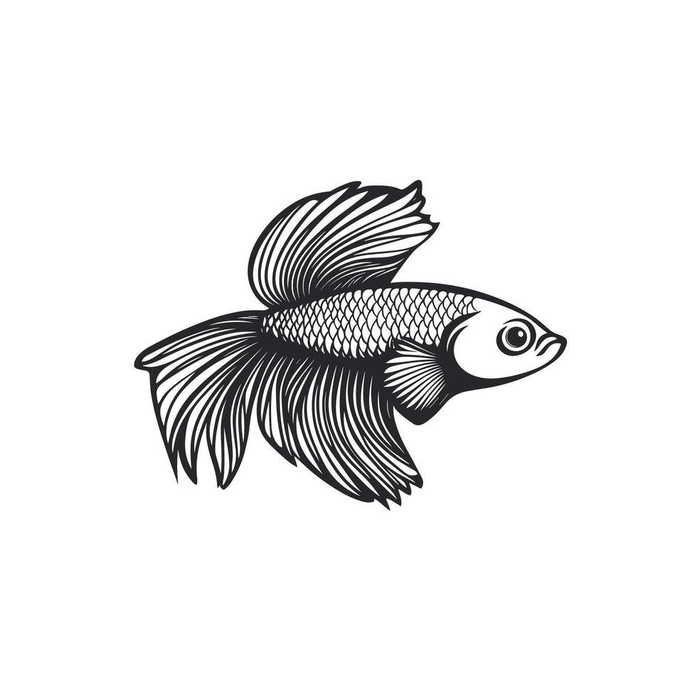 Realistic Of Betta Design Element on White Background vector
