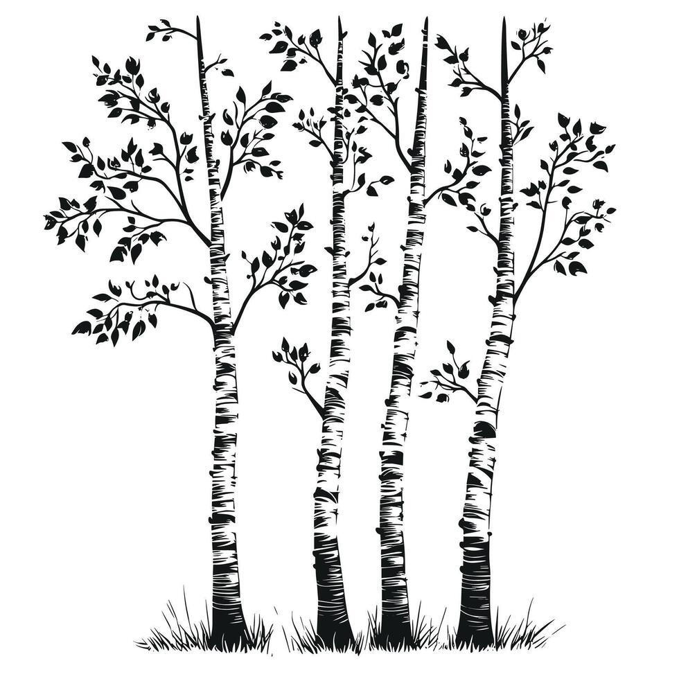 Hand-Drawn Of Birch Graphic Template for Branding vector
