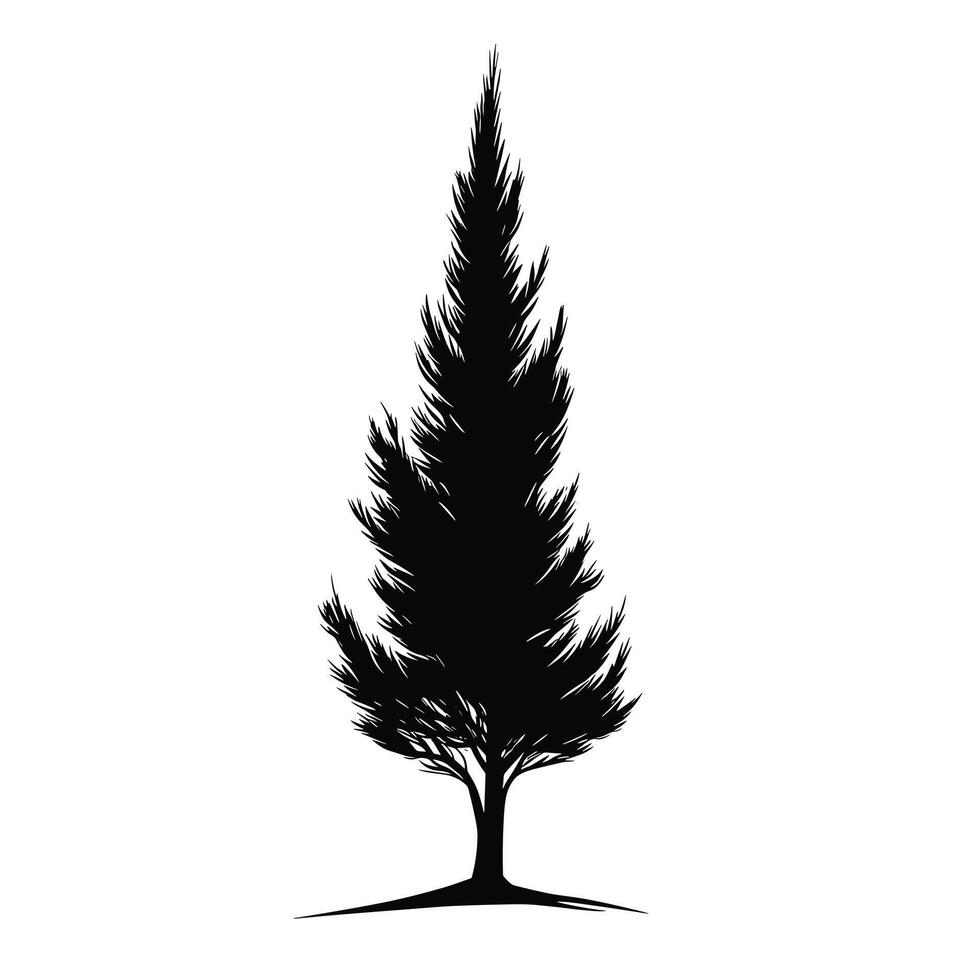 Realistic Of Cypress Design Element with Subtle Texture vector
