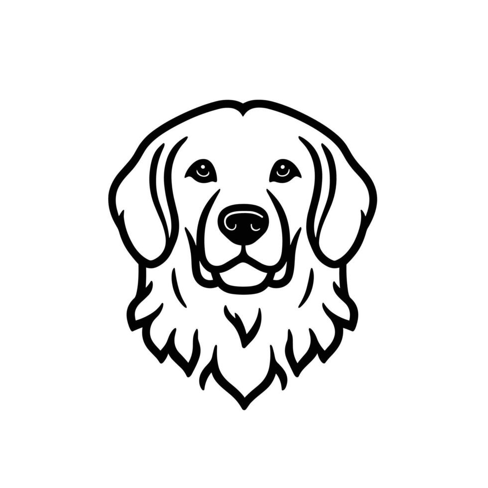 Modern Of Golden Illustration with Clean Style vector