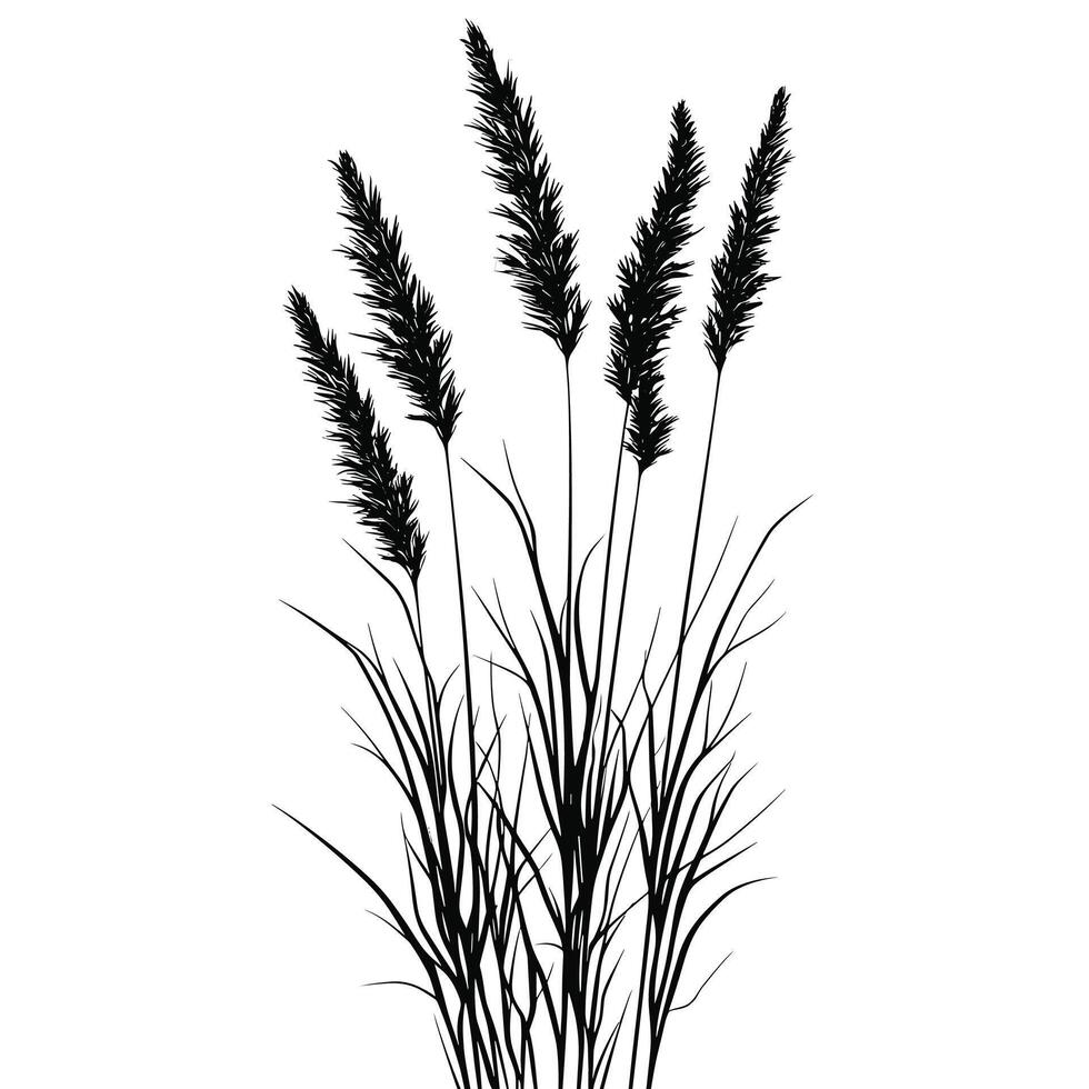 Soft Of Grass Isolated Clipart with Clean Style vector