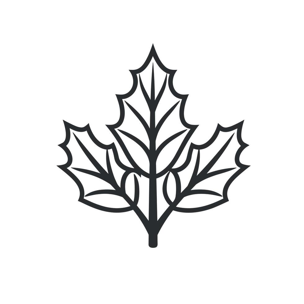 Elegant Of Holly Graphic Template on White Background vector
