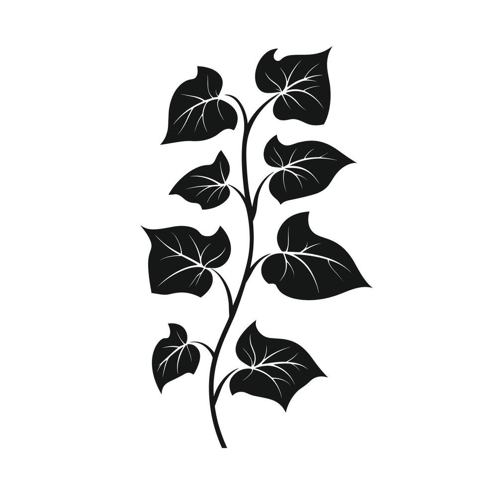 Hand-Drawn Of Ivy Graphic Template with Clean Style vector
