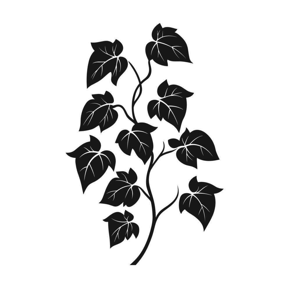 Abstract Of Ivy Graphic Template for Branding vector