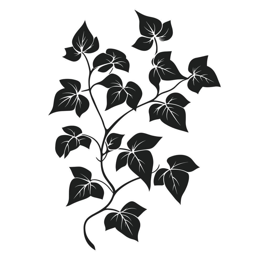 Elegant Of Ivy Graphic Template with Subtle Texture vector