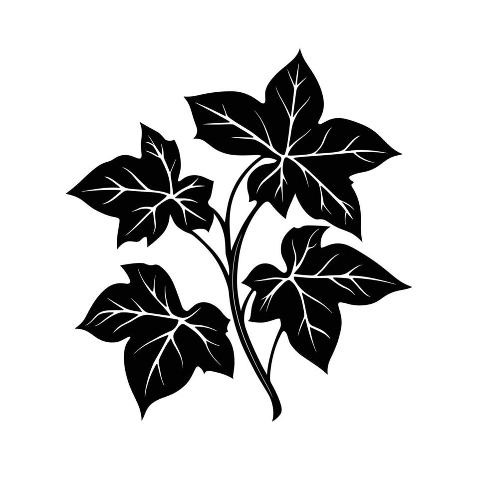 Elegant Of Ivy Graphic Template with Clean Style vector