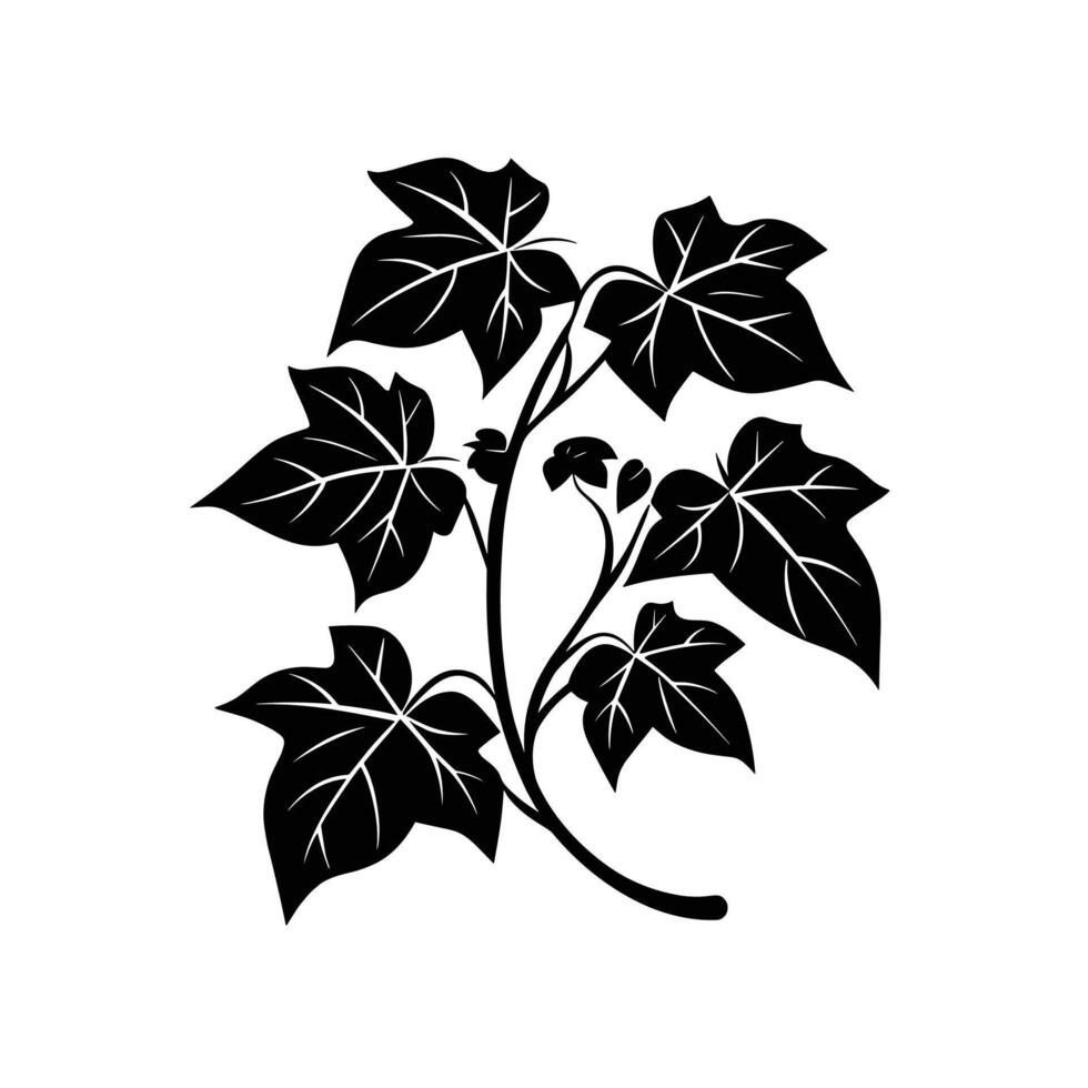 Flat Of Ivy Icon Set for Branding vector