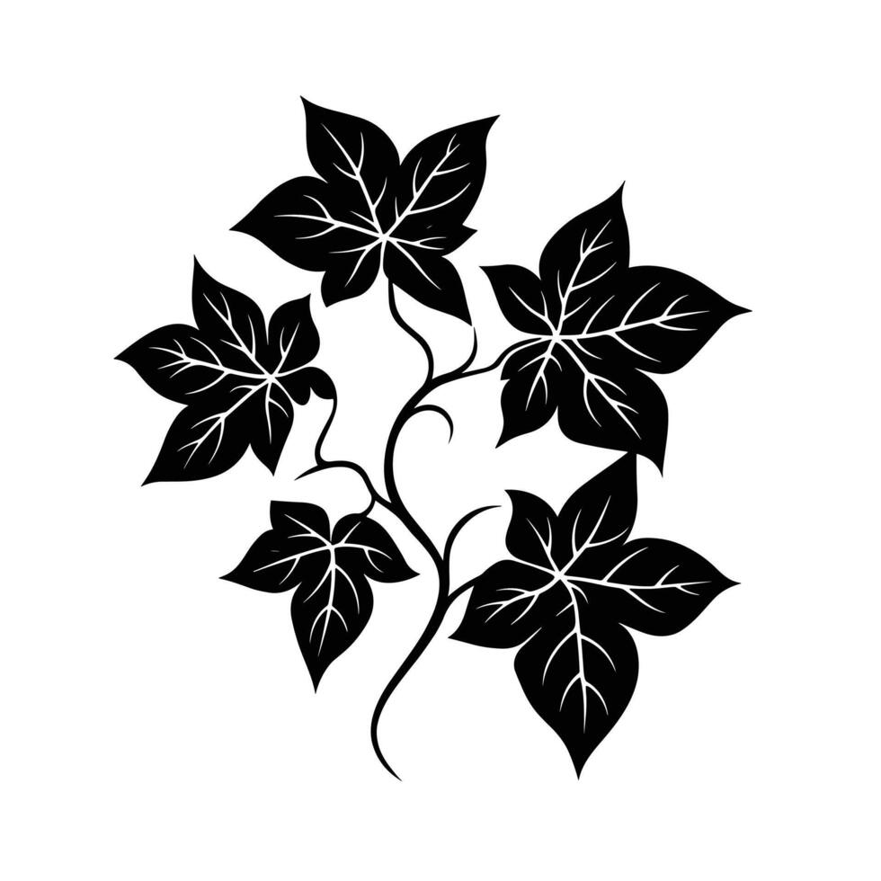 Hand-Drawn Of Ivy Design Element for Branding logo vector