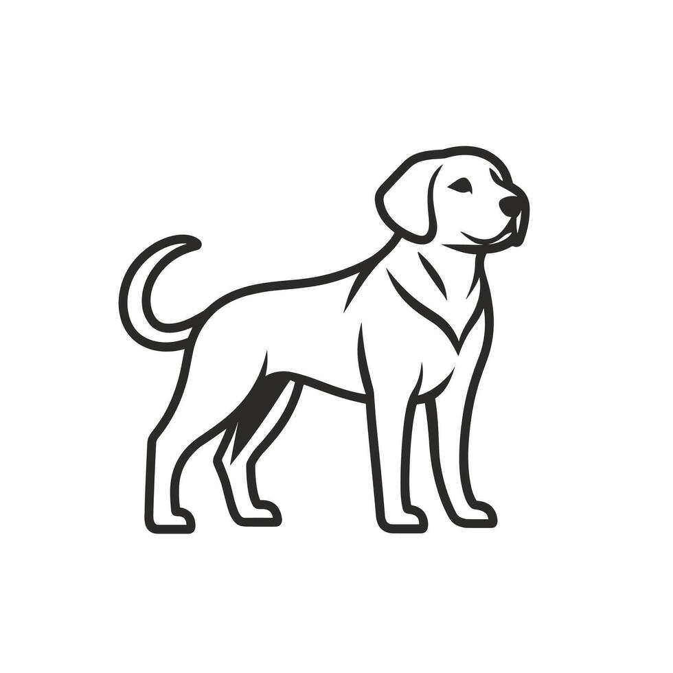 Soft Of Labrador Illustration on White Background vector