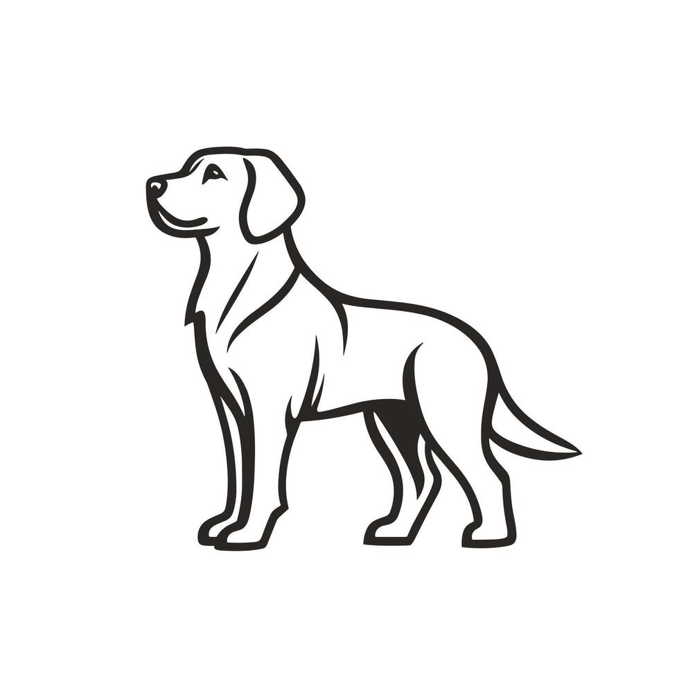 Realistic Of Labrador Illustration on White Background vector