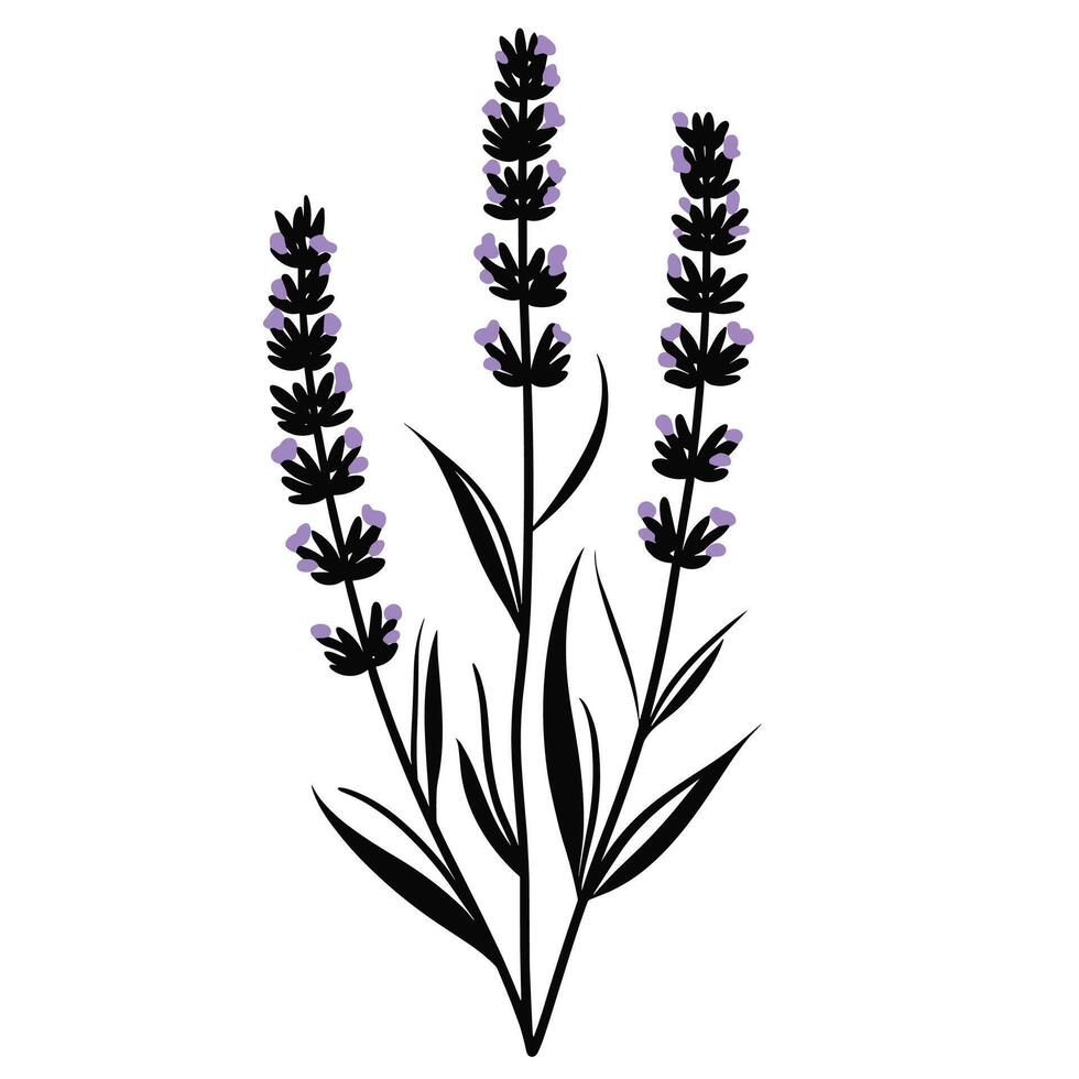 Soft Of Lavender Graphic Template with Clean Style vector