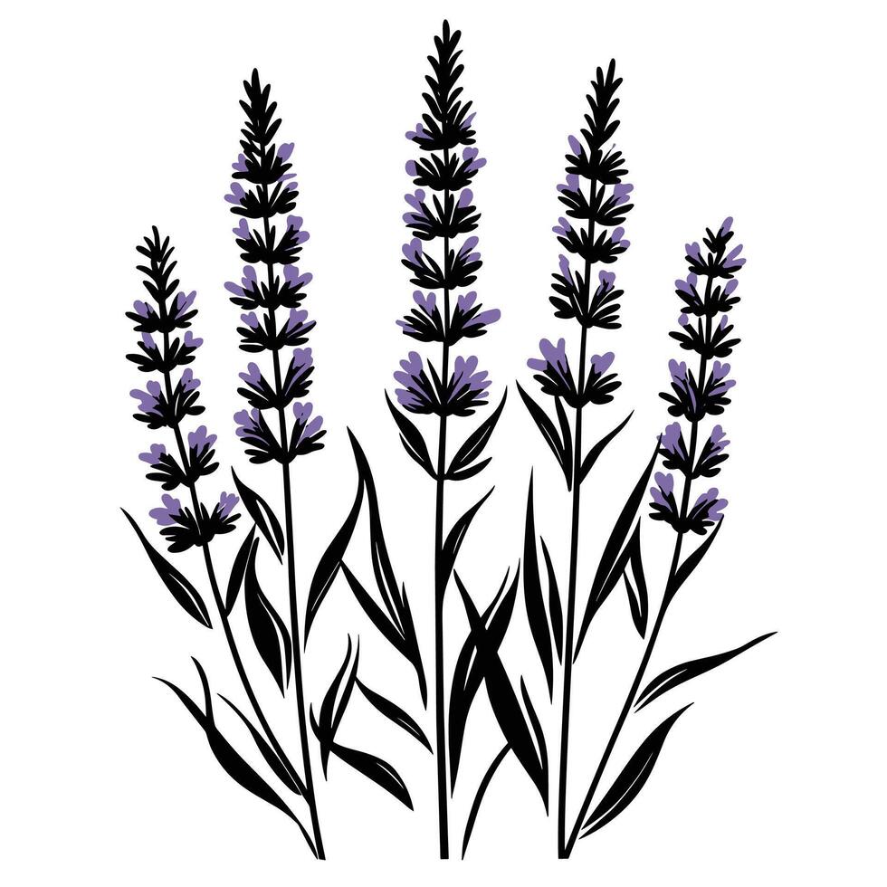 Elegant Of Lavender Isolated Clipart with Clean Style vector