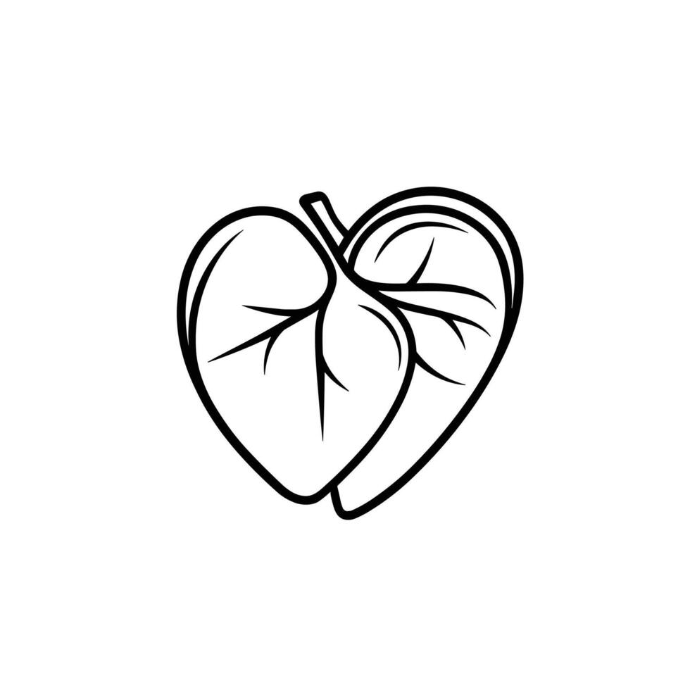 Elegant Of Liver Illustration on White Background vector