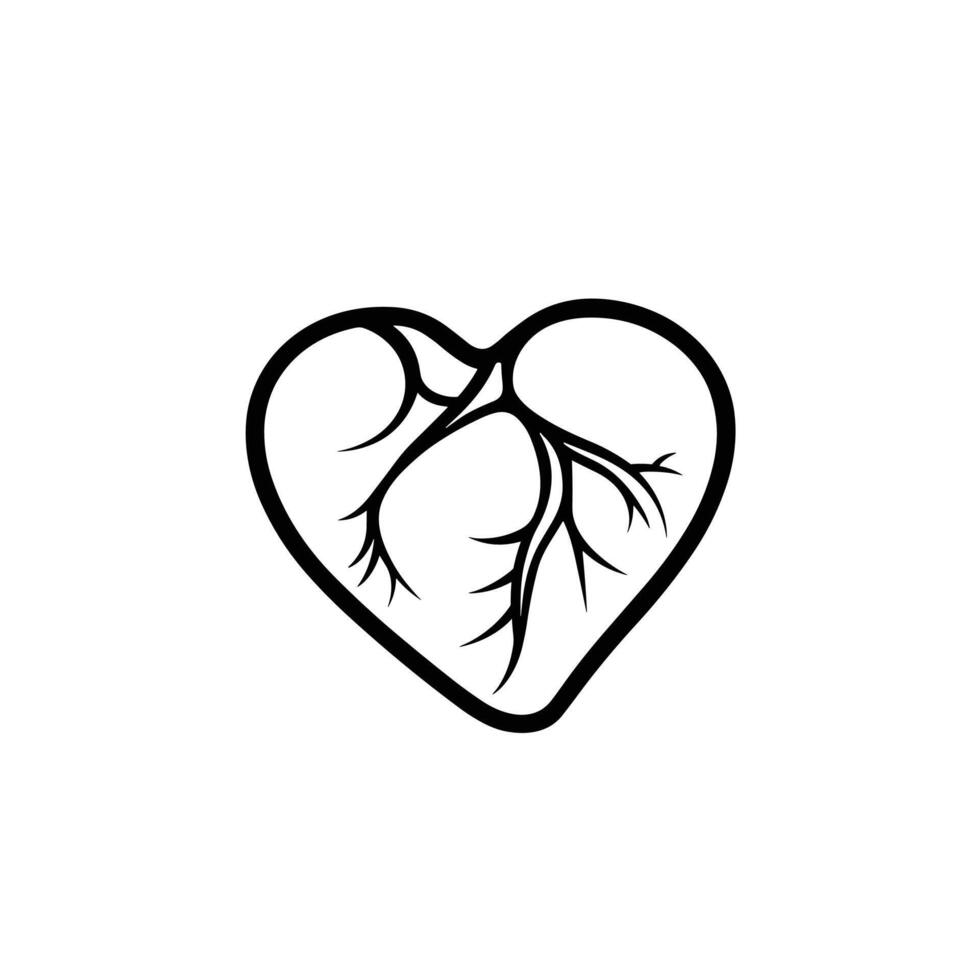 Creative Of Liver Isolated Clipart on White Background vector