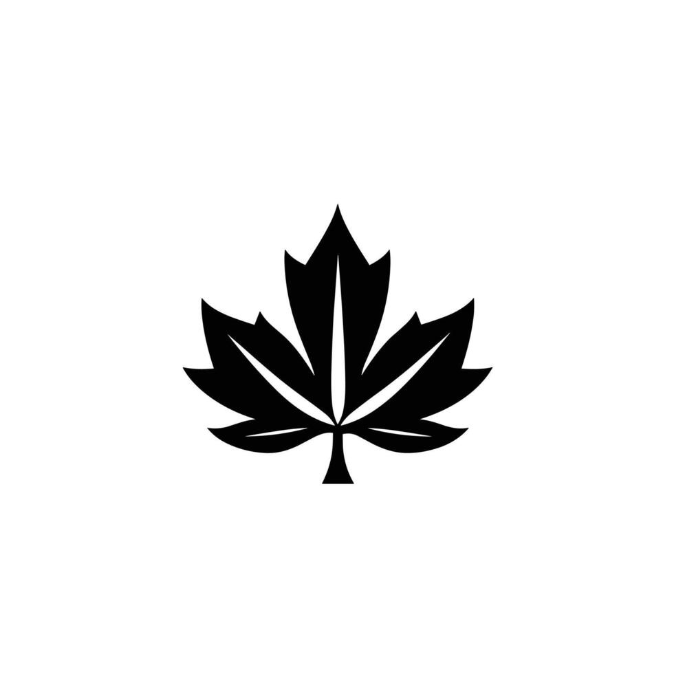 Creative Of Maple Design Element in HD Quality vector