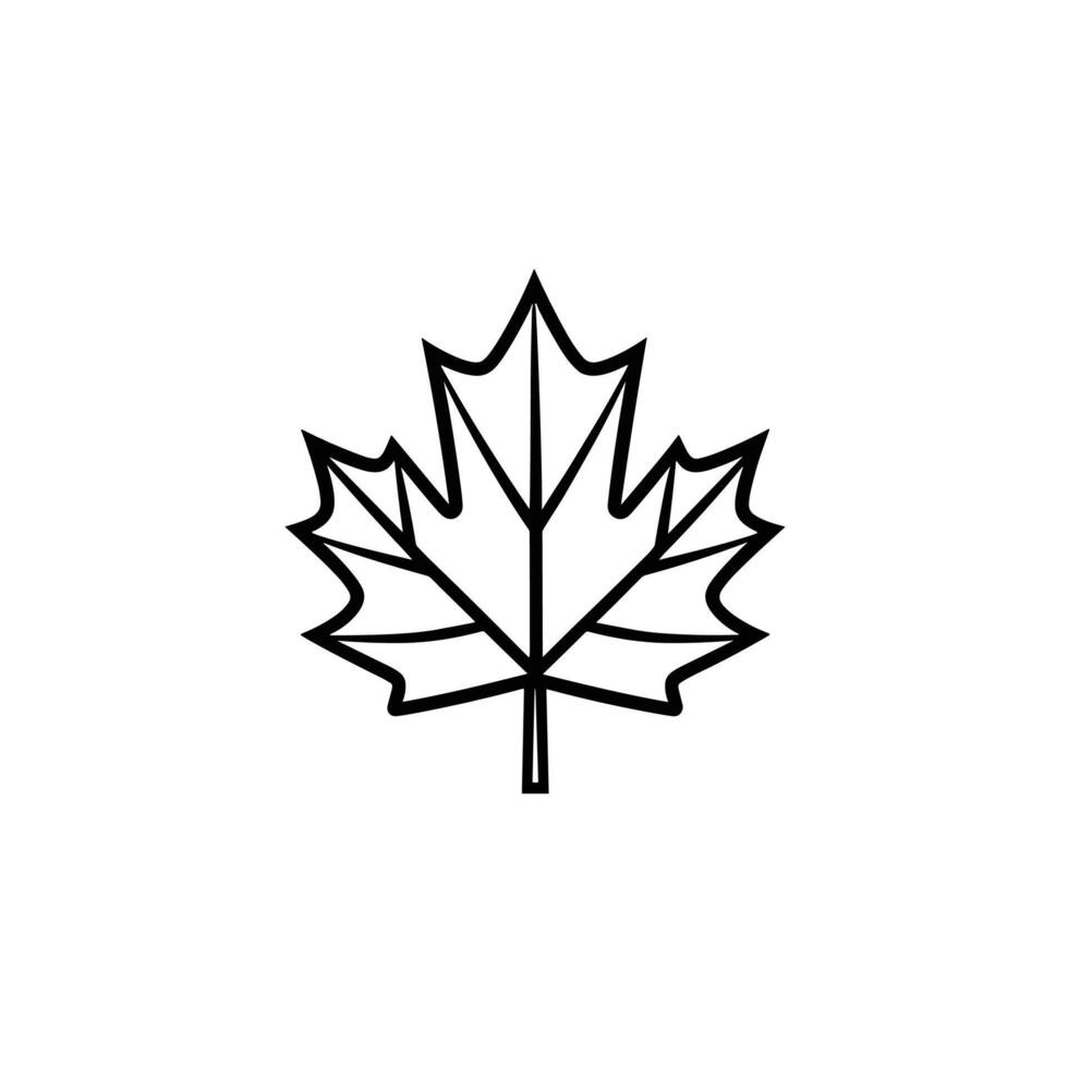 Modern Of Maple Graphic Template with Clean Style vector
