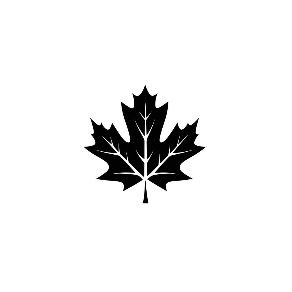 Elegant Of Maple Graphic Template in HD Quality vector
