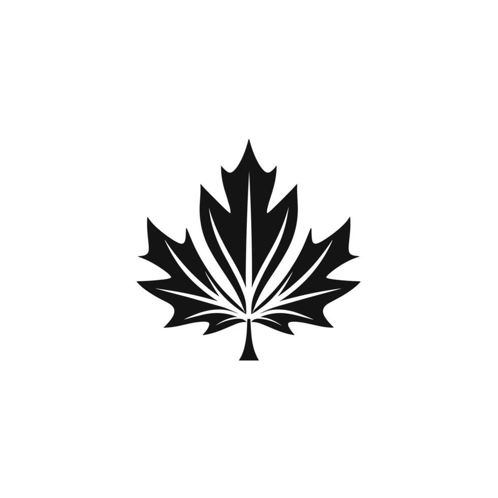 Abstract Of Maple Illustration on White Background vector