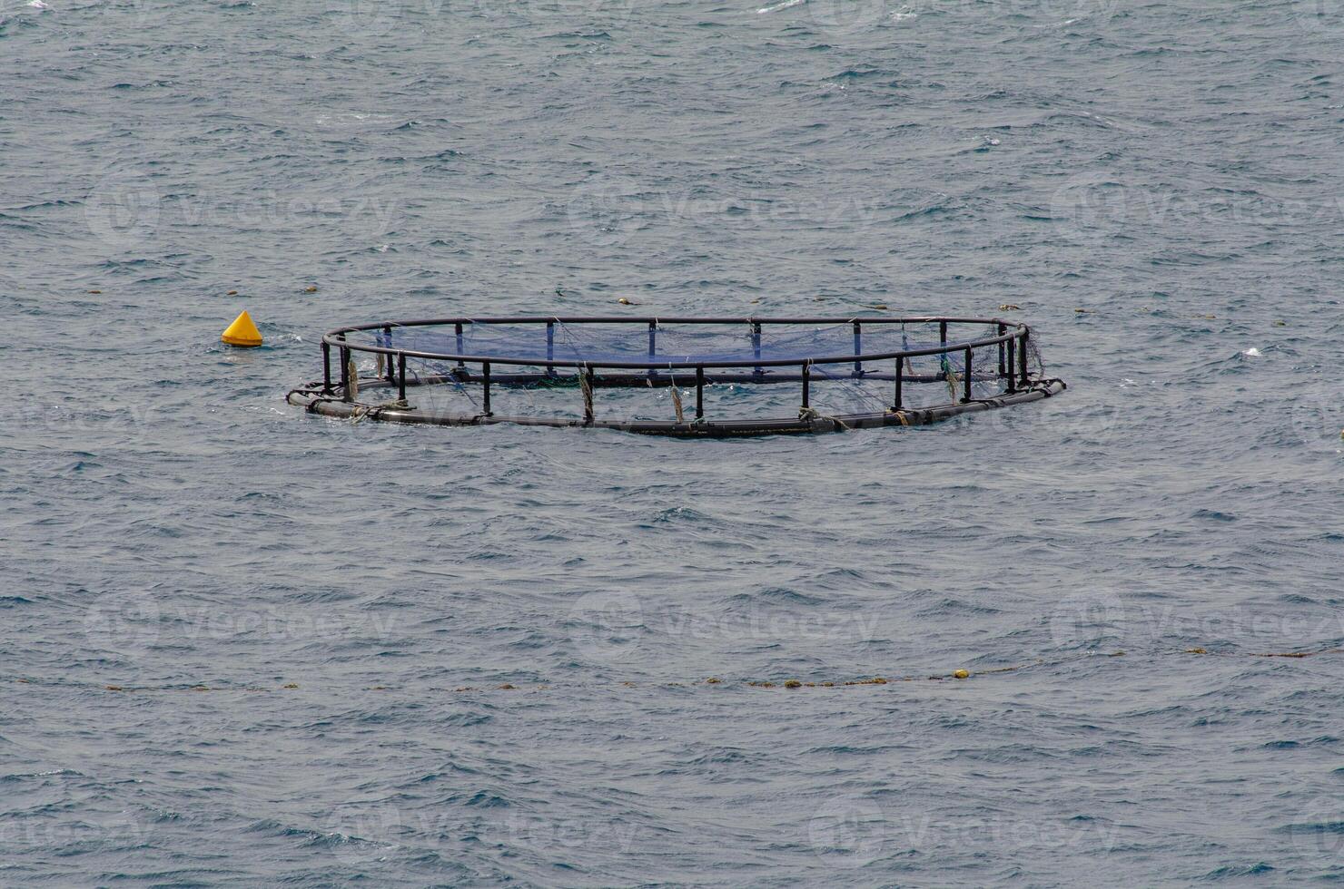 Isolated Fish Farm Cage in Open Sea photo
