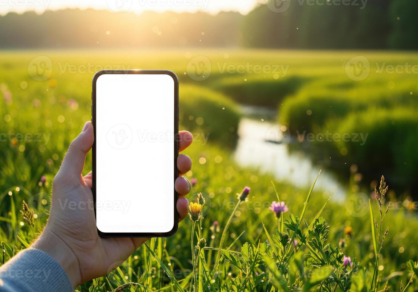 A hand holding a smartphone in a field with a river and a meadow at sunset photo