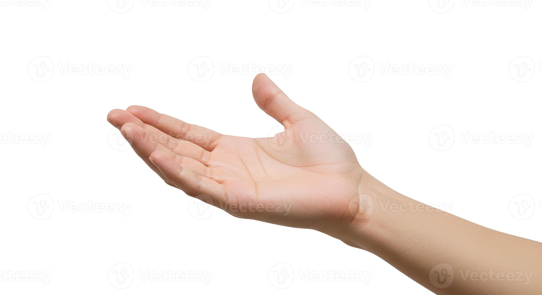 Offering Hand Gesture Isolated on White Background Presentation photo