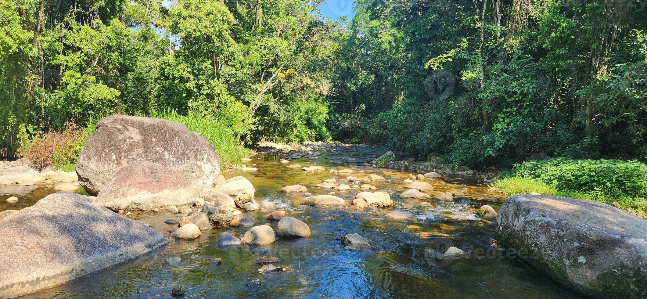 tropical river on the north coast of brazil in ubatuba photo