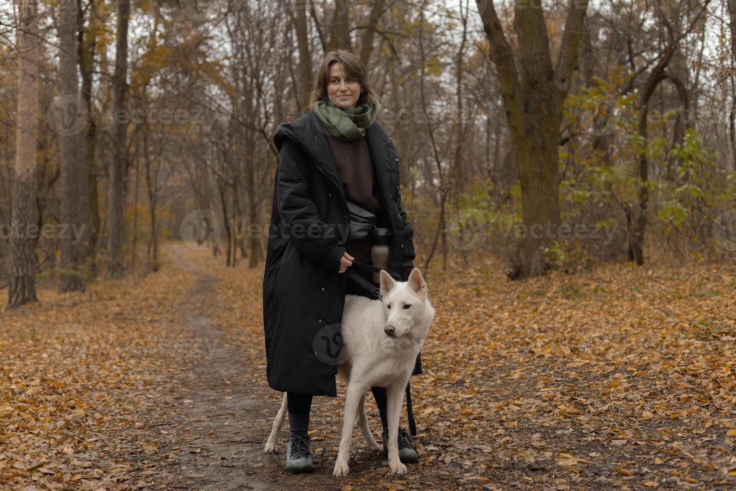 woman in an autumn park on a morning walk with her dog photo