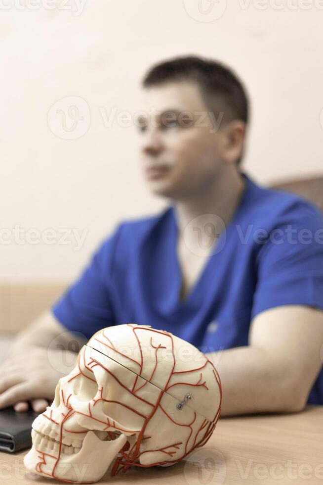 model of a human skull with blood vessels, in the background a doctor man is a blurred silhouette photo