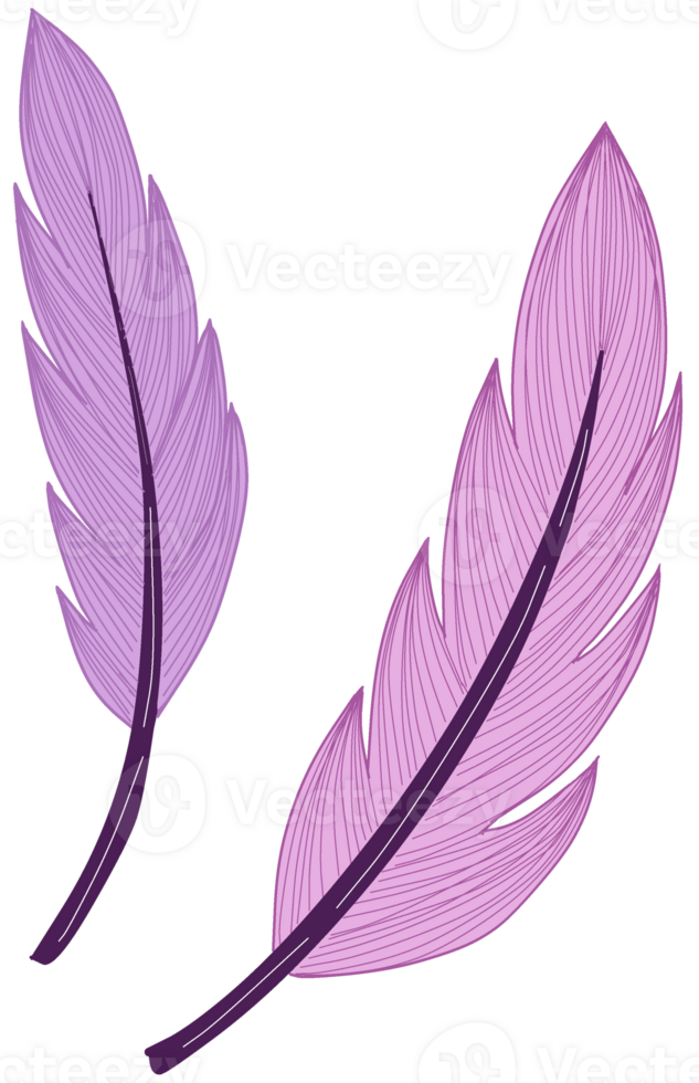Two purple feathers flowing wings png