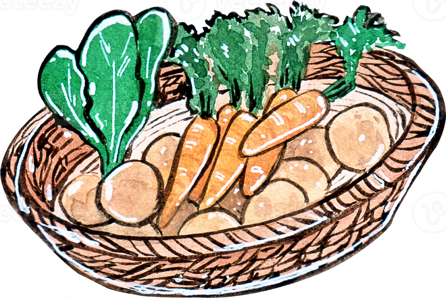 A charming watercolor illustration of a woven basket filled with fresh vegetables including carrots with green tops leafy greens and round root vegetables png
