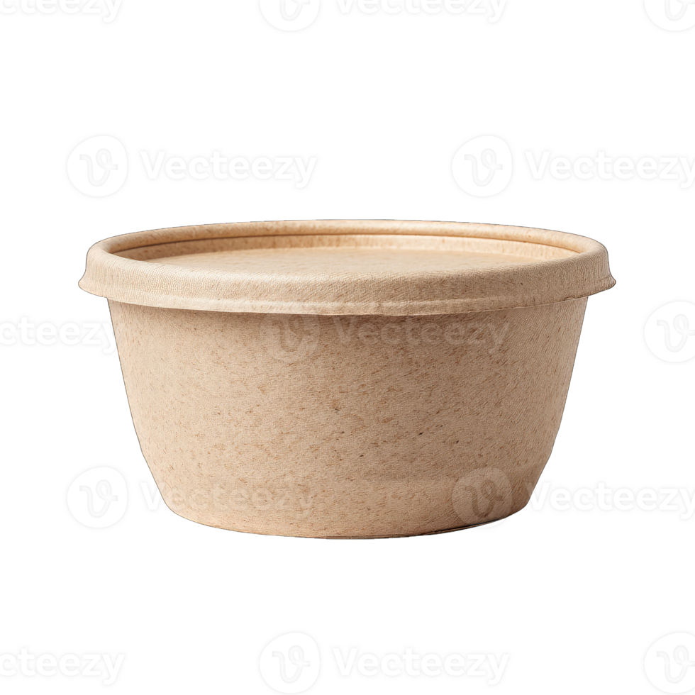 Eco friendly food container compostable takeout box sustainable packaging product shot png