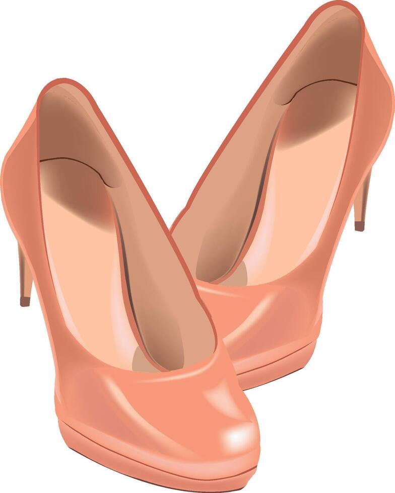 A pair of high heeled shoes on a white background vector