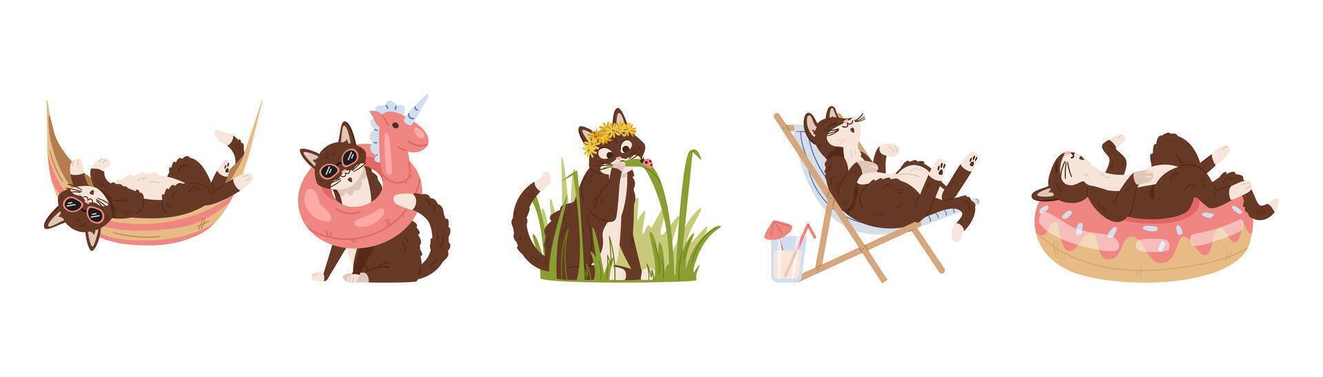 Cute cat doing summertime activities flat illustrations set isolated on white. Cat laying in hammock, wearing swimming ring, eating fresh grass, relaxing in swimming ring and sun lounger. vector
