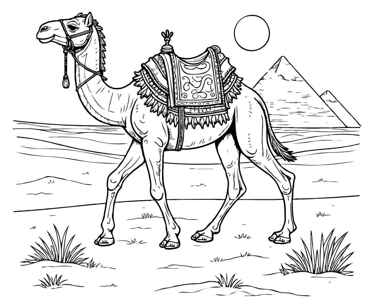 Majestic Camel in Desert , Summer coloring page vector