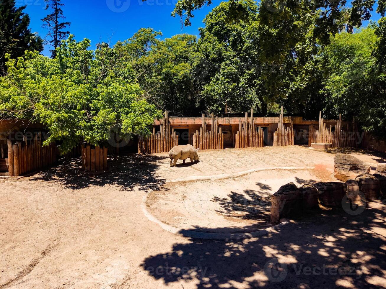 A dirt area with a tree and a fence photo