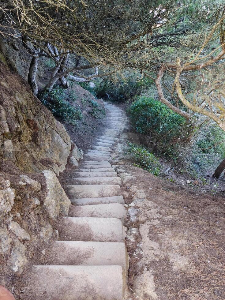 A set of stairs leading up to a hill photo