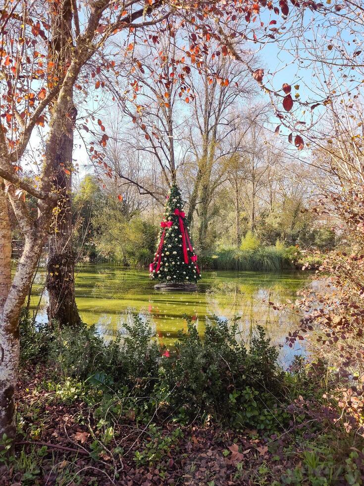 A christmas tree is sitting on the edge of a pond photo