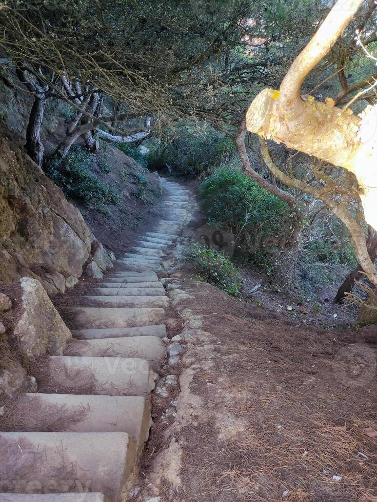 A set of steps leading up a hill photo