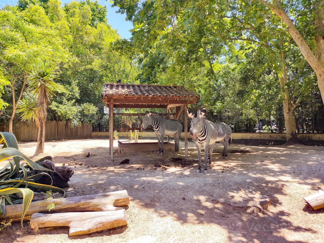 A wooden structure photo