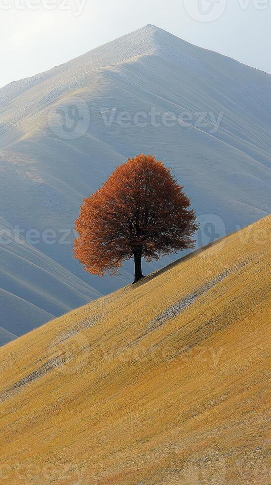 A solitary tree on a golden hillside with mountains. photo