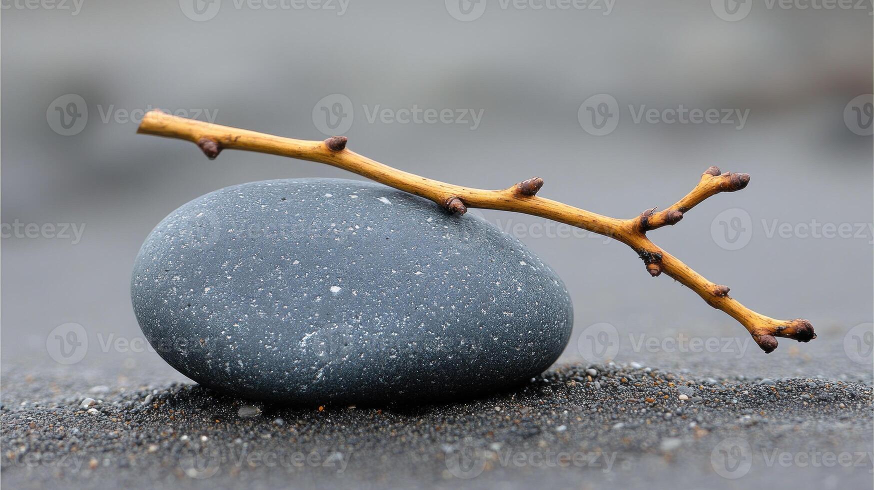 A smooth stone with a twig resting on it. photo