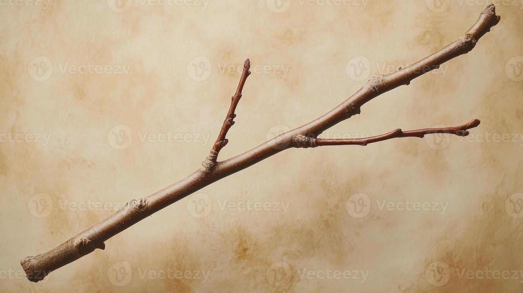 A simple branch against a textured background. photo