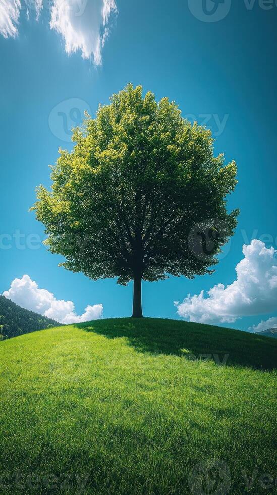A solitary tree on a grassy hill under blue skies. generated photo