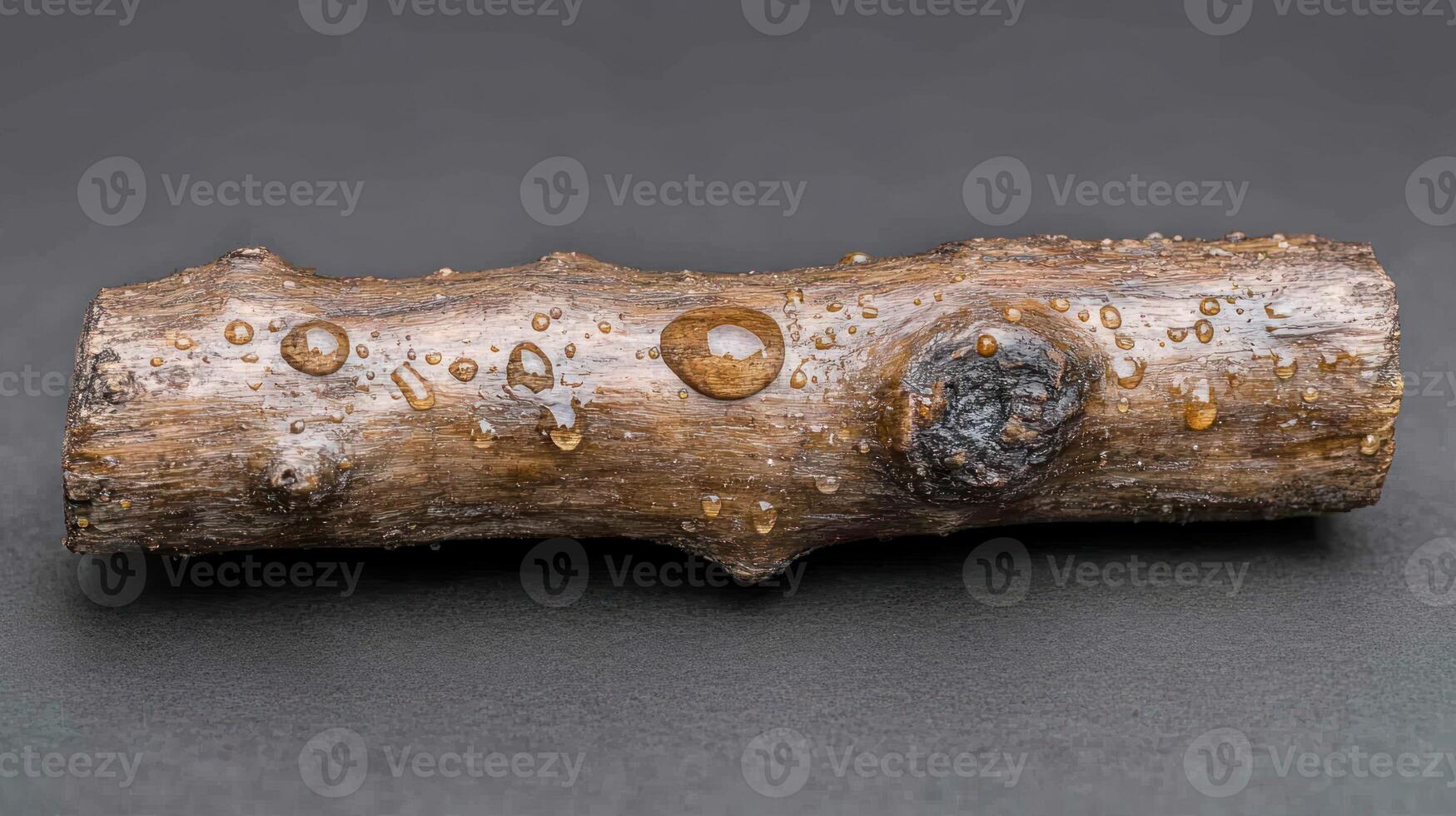 A stick with droplets of resin on its surface. photo