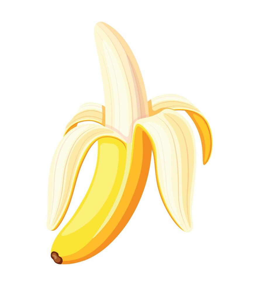 Banana, fresh and tasty in cartoon style. Illustration of a delicious banana in the peel isolated on a white background. A healthy snack. Tropical fruit. vector