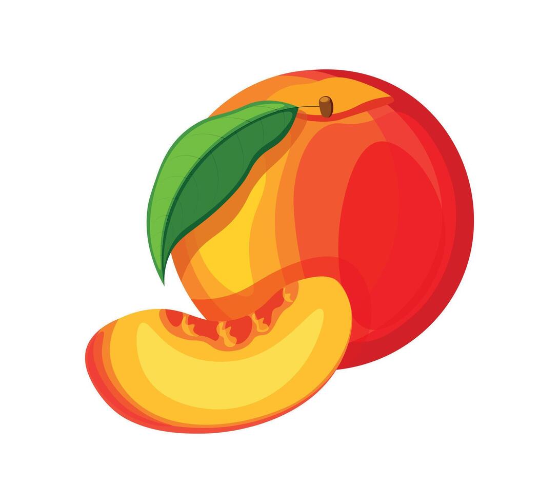 Sweet peach in cartoon style. Illustration of juicy and delicious whole and half peach, green leaves isolated on white background.. vector