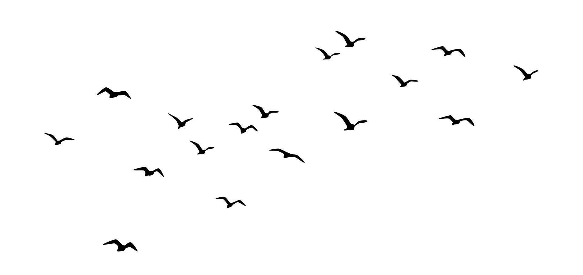 Flying birds silhouettes, group of birds flying, isolated bird flying, birds in flight vector